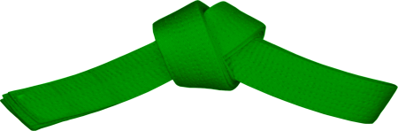 Six Sigma Green Belt (Modul G)